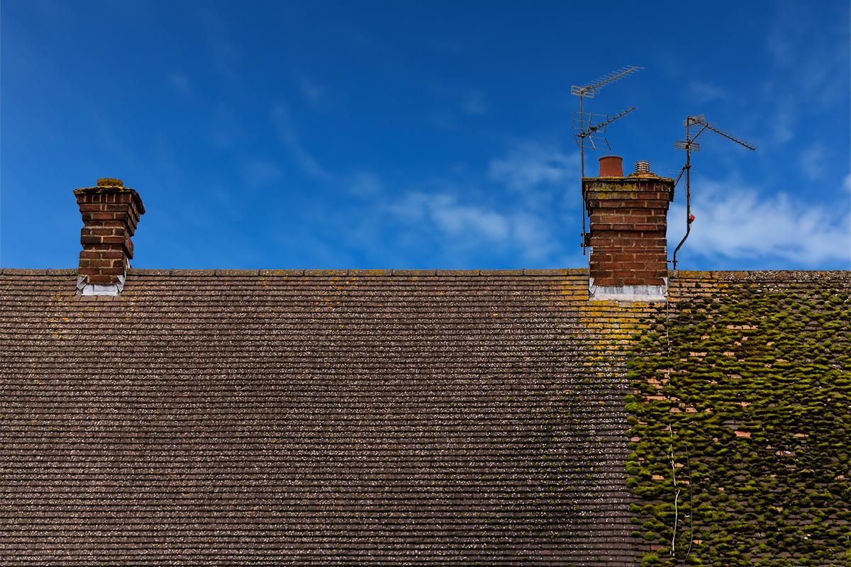 10 Reasons Why Your Roof Will Benefit From Regular Roof Cleaning